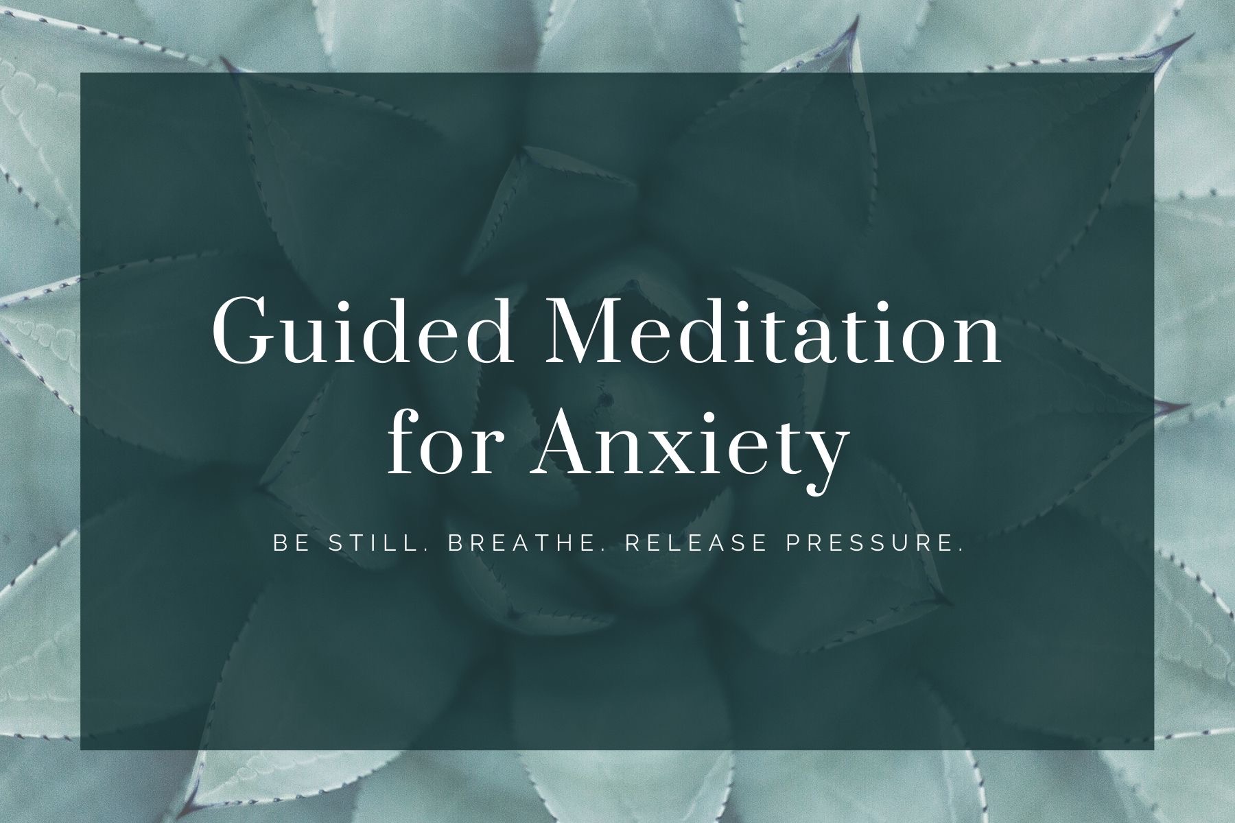 Guided Meditation for Anxiety