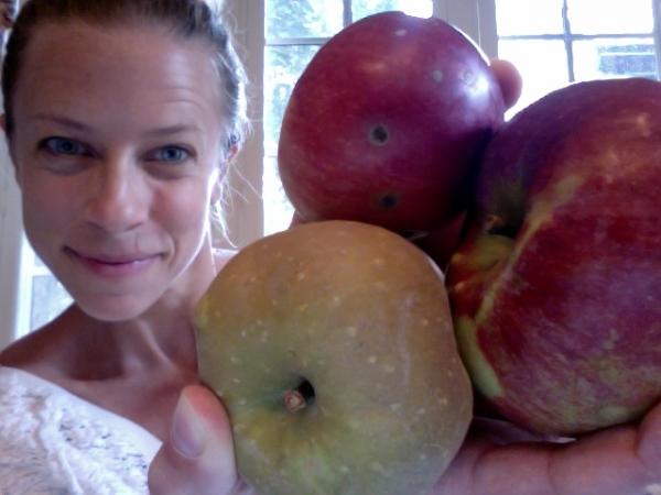 My Favorite Apple Recipes